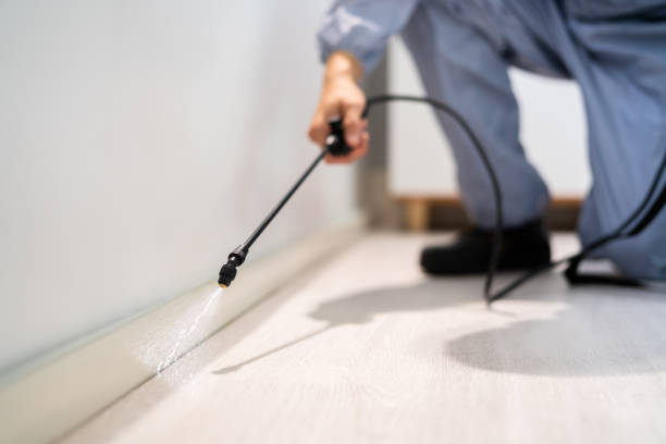 Licensed Mosquito Control service in Fort Pierce South, FL - Show Me Pest Control