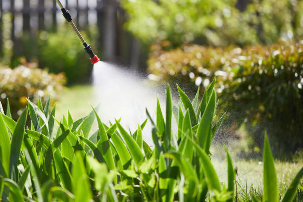 24/7 Emergency Mosquito Control experts in Fort Pierce South, FL