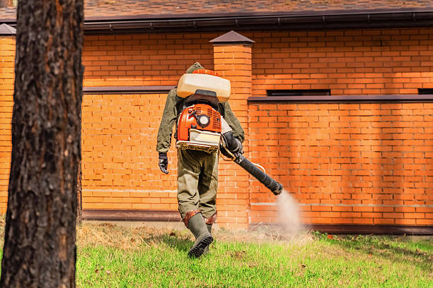 Top rated local Mosquito Control specialists in Fort Pierce South, FL